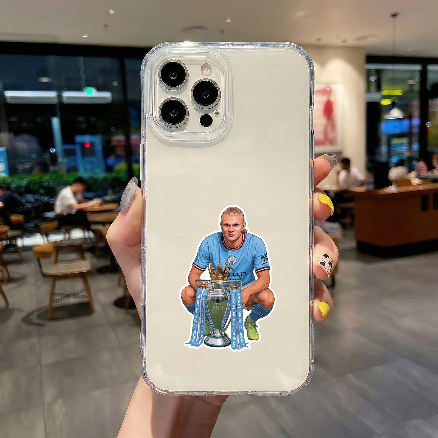 BOX PREDATOR – ERLING HAALAND STICKER