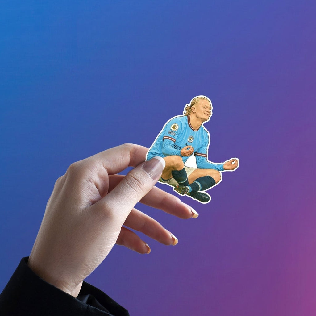 ERLING HAALAND | MANCITY STICKER - 5 - stickyfunk premium stickers