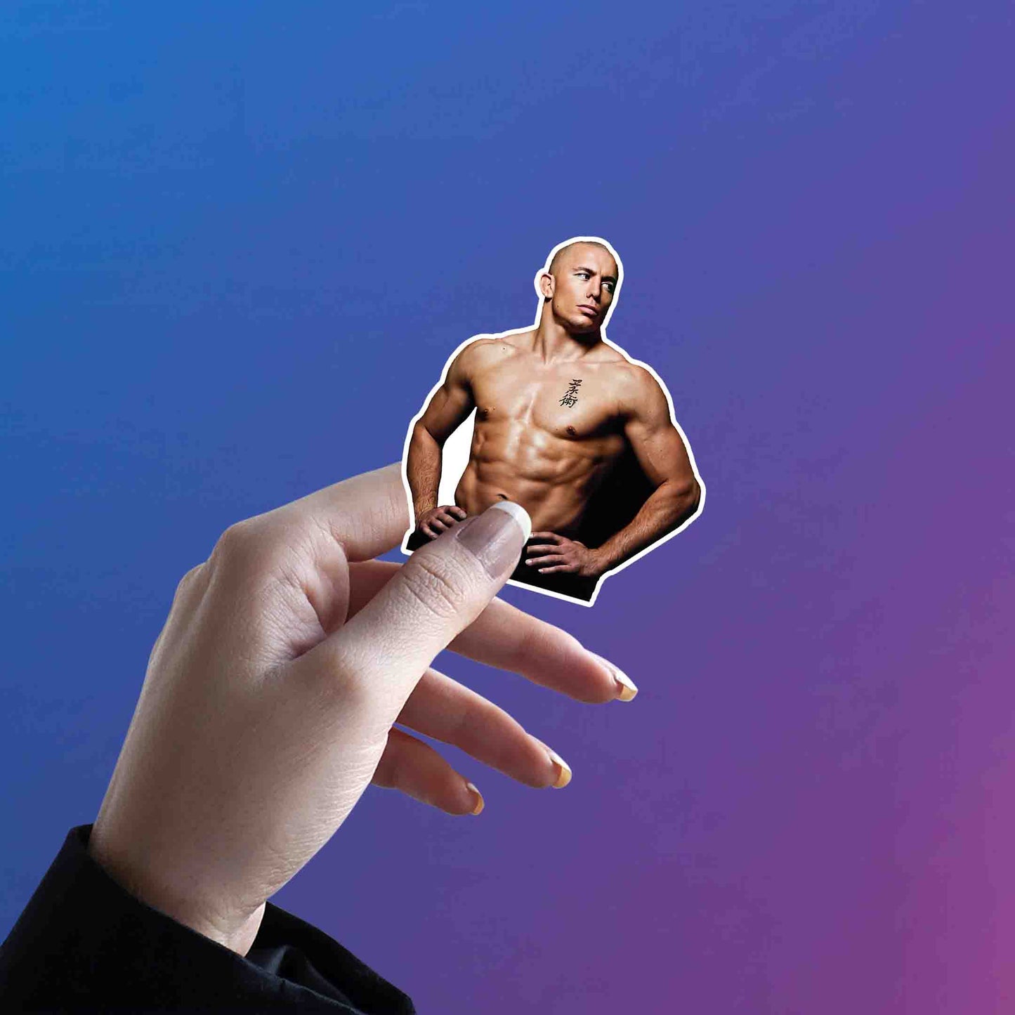 GEORGES ST-PIERRE - 1
