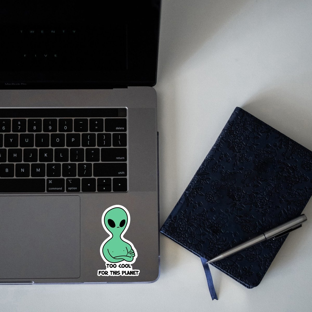 DUNIYA KA SABSE COOL ALIEN STICKER