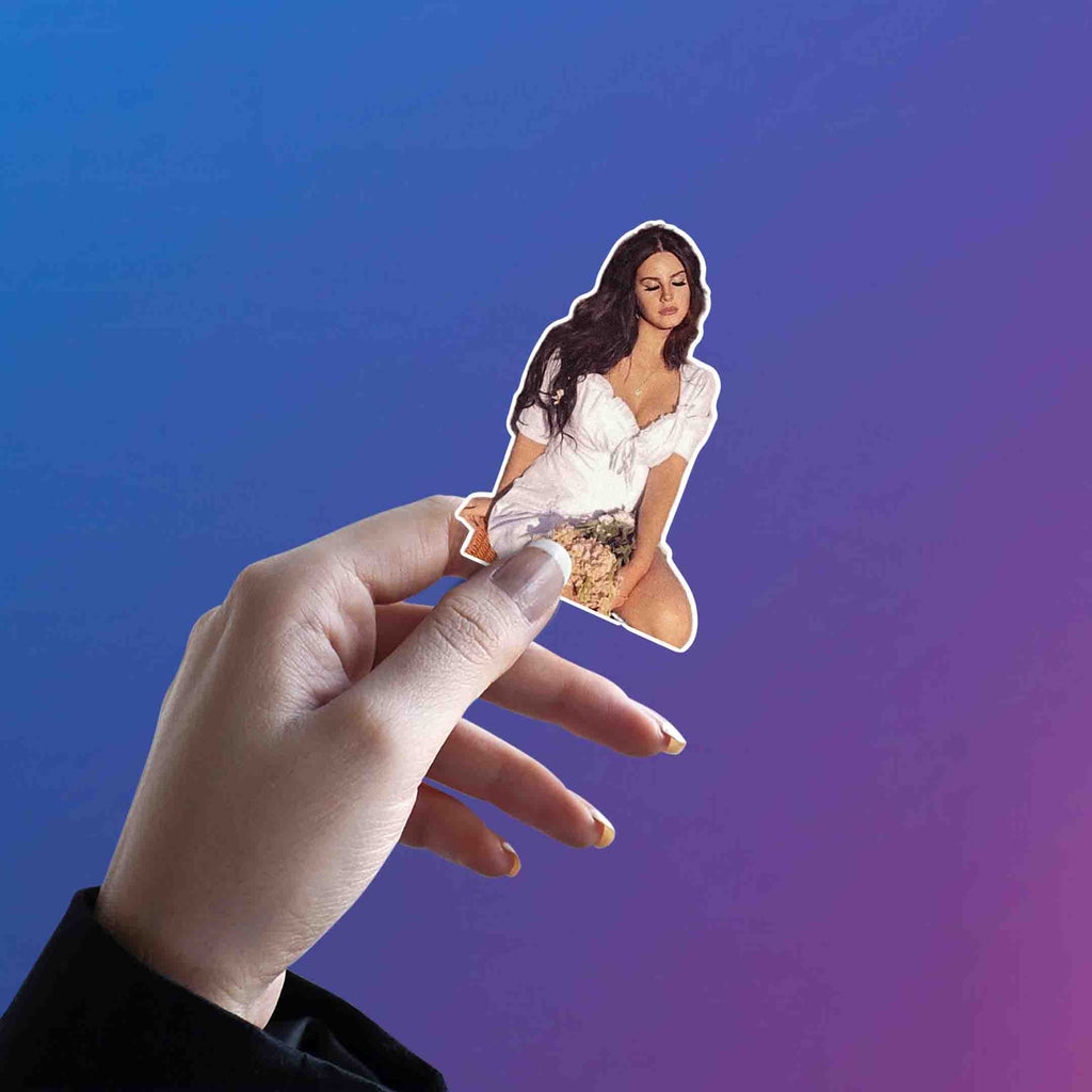 LANA DEL REY STICKER - 3 - stickyfunk premium stickers
