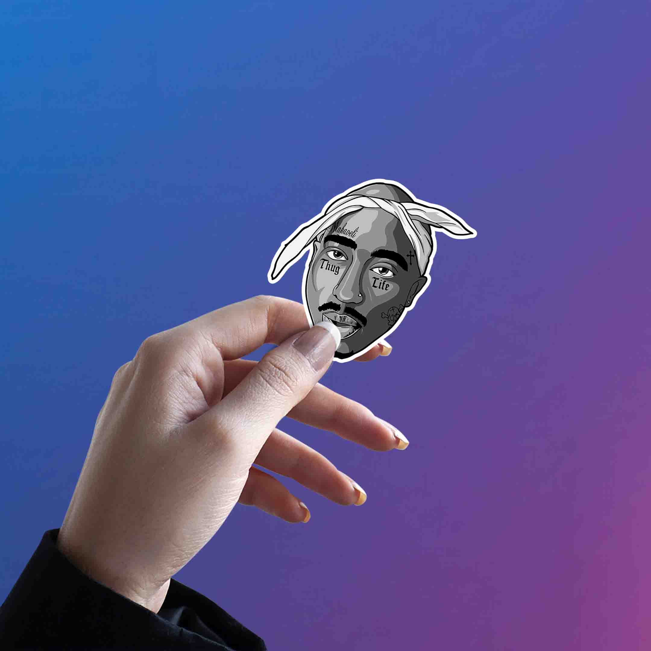 2 PAC - 4 - stickyfunk premium stickers