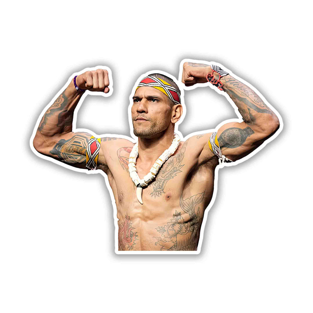 ALEX PEREIRA - 5 - stickyfunk premium stickers