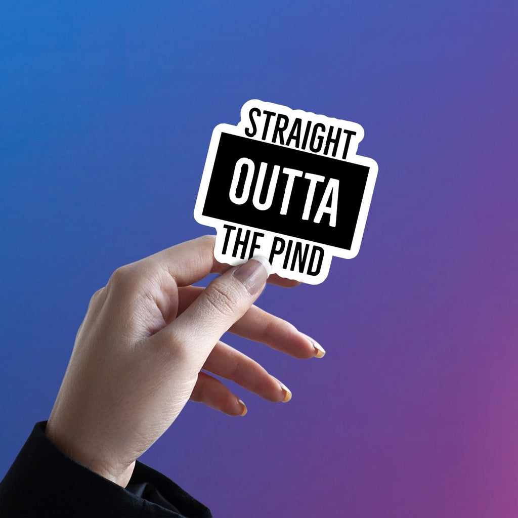 PIND SE STRAIGHT OUTTA BRO STICKER - stickyfunk premium stickers