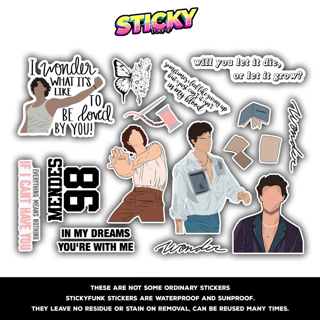 SHAWN MENDIS MINI STICKERS SHEET - stickyfunk premium stickers