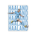 STRIKING VIKING – ERLING HAALAND STICKER