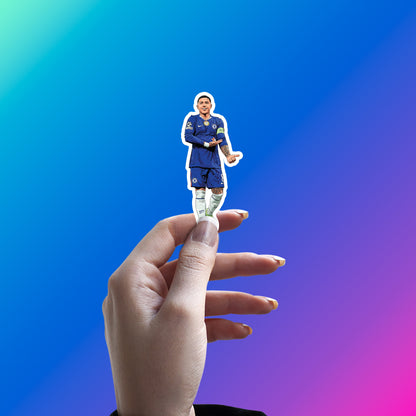 ENZO FERNANDEZ - BLUE PRIDE POSE STICKER