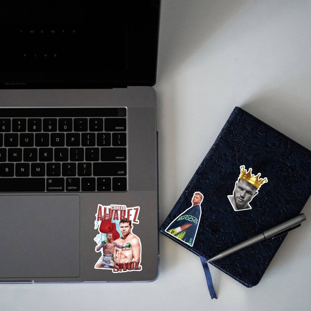 CANELO ÁLVAREZ MINI STICKERS SHEET - stickyfunk premium stickers