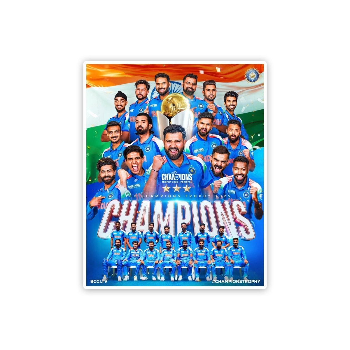TEAM INDIA - WORLDCUP EDITION - CHAMPION STICKER - stickyfunk premium stickers