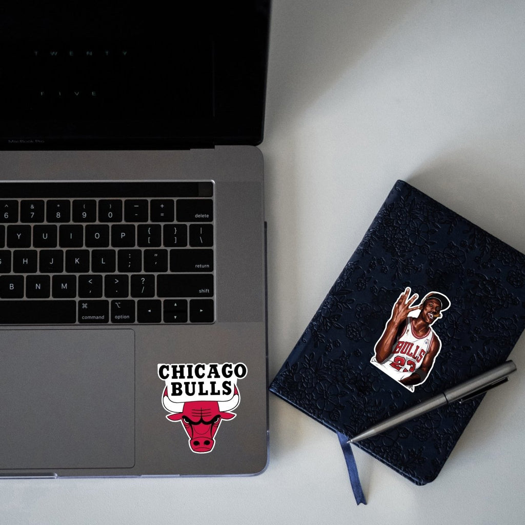CHICAGO BULLS MINI STICKERS SHEET - stickyfunk premium stickers
